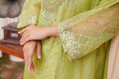Zarnigar - Embroided 3 piece