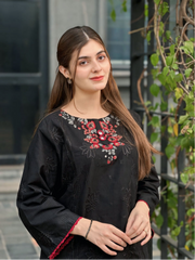 Saha Embroidered 2pcs