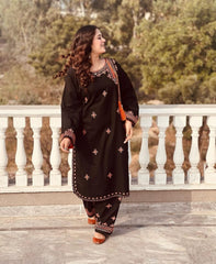 Biya mirror worked embroidery 2pcs