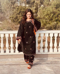 Biya mirror worked embroidery 2pcs