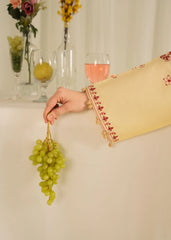 Zawiya Embroidered 3pc