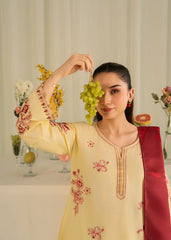 Zawiya Embroidered 3pc